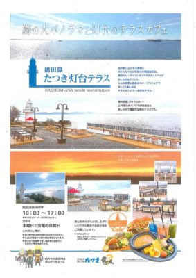 とうだいのサムネイル